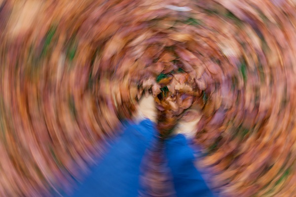 abstract image of leaves