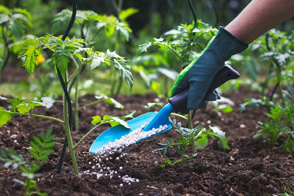 fertilizer