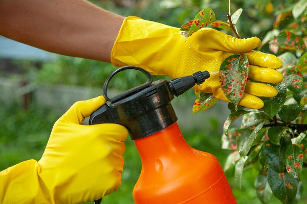 fungicides