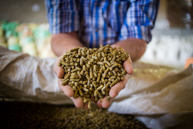 nutrient protectants for livestock feed