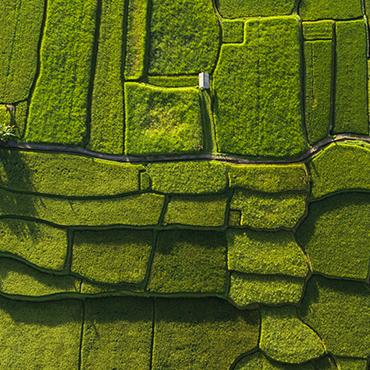 farmland