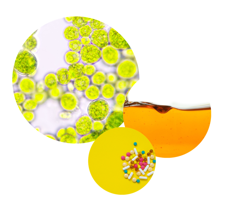 Collage of microscopic cells, golden liquid, and assorted tablets