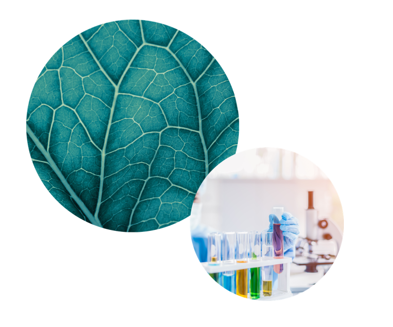 Collage of a teal leaf close-up and laboratory test tubes