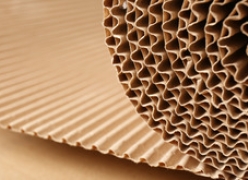 cardboard