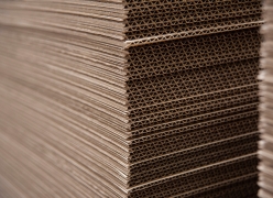 paper containerboard
